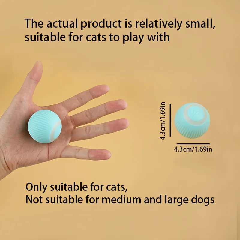 Smart Interactive Dog Bal