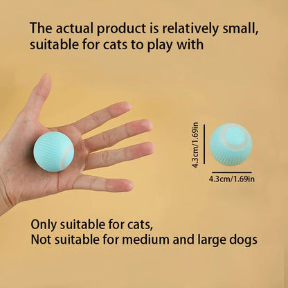 Smart Interactive Dog Bal
